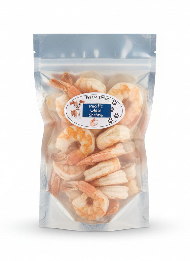 Pacific white shrimp