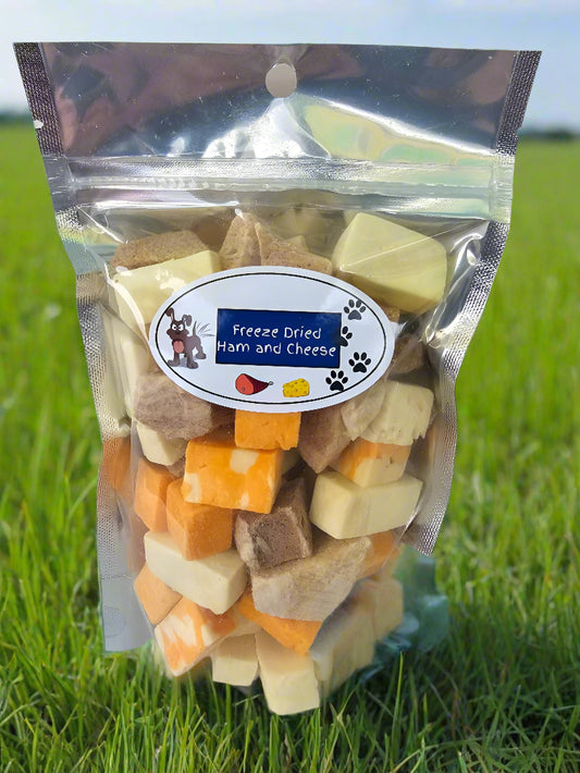 Ham and Cheese Cubes
